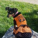 Entry image for Lola