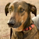 Entry image for Weego