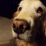 Entry image for Carly