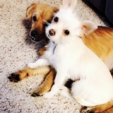 Entry image for Avery and Telluride