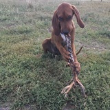 Entry image for Pittsburgh