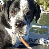 Entry image for Squish