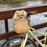 Entry image for Master Chief