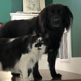 Entry image for Cash