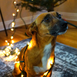 Entry image for Friday