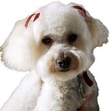 Entry image for Zoë Michelle