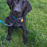 Entry image for Folsom