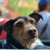 Entry image for Wilbur