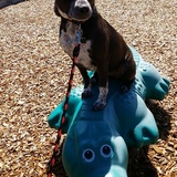 Entry image for Kenosha