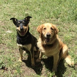 Entry image for Deeno and Stella