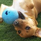 Entry image for Emma