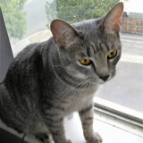 Entry image for Libby