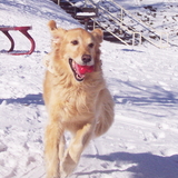 Entry image for Payton