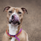 Entry image for Angel