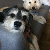 Entry image for Watson and Bentley