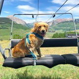 Entry image for Sophie 