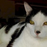 Entry image for Gary