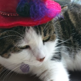 Entry image for Layla