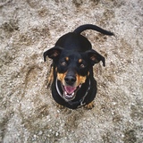 Entry image for Burke 