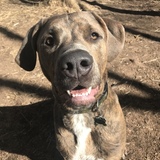 Entry image for Zeus