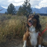 Entry image for Jaxson