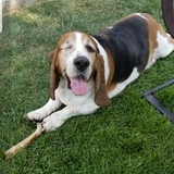 Entry image for Cash Alexander