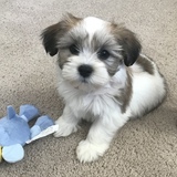 Entry image for Zoey