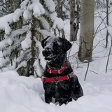 Entry image for Maggie