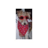 Entry image for Scully