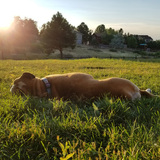 Entry image for Mugi Batake