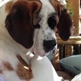 Entry image for Valentine