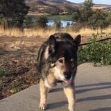 Entry image for Trooper