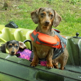 Entry image for Denver Skye & Kei Teckal