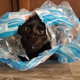 Entry image for Aspen