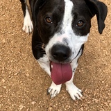 Entry image for Kona