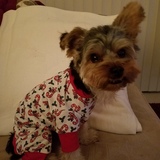 Entry image for Jasper