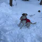 Entry image for Isla Andrews 