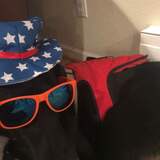 Entry image for Patches Andrews 