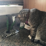 Entry image for Riliegh