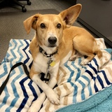 Entry image for Norman