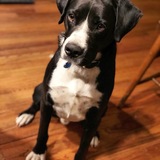 Entry image for Bruce