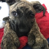 Entry image for Avery