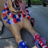 Entry image for Moose