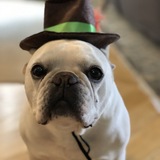 Entry image for Lily