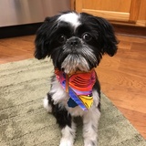 Entry image for Lulu