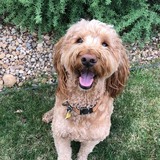 Entry image for Brooklyn