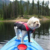 Entry image for Oliver