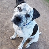 Entry image for Leonard 