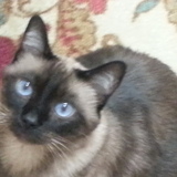 Entry image for Granby