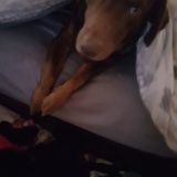 Entry image for Grommet